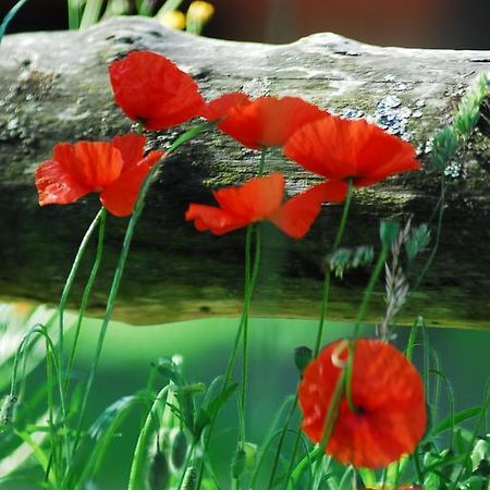Gypsy Nature B&B Jumelles  Εξωτερικό φωτογραφία