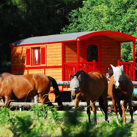 Gypsy Nature B&B Jumelles  Δωμάτιο φωτογραφία