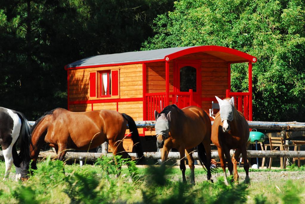 Gypsy Nature B&B Jumelles  Δωμάτιο φωτογραφία