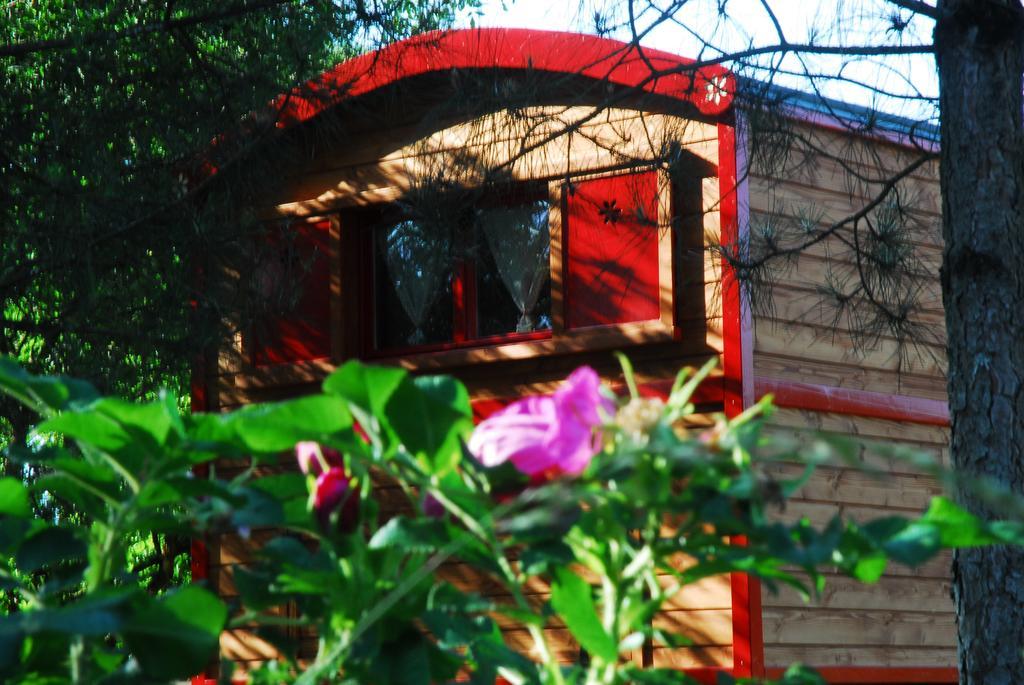 Gypsy Nature B&B Jumelles  Δωμάτιο φωτογραφία